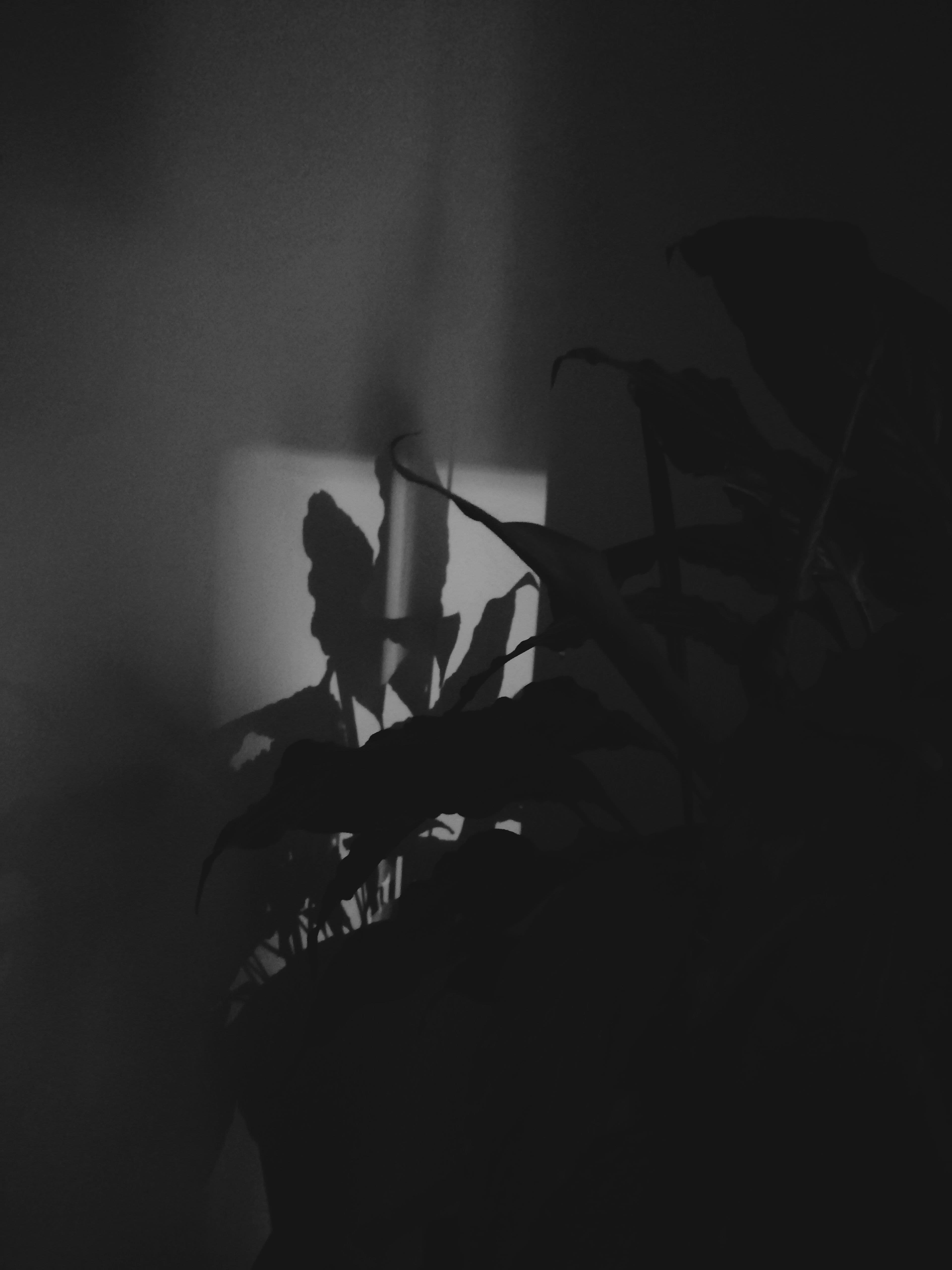 Sculpted Light